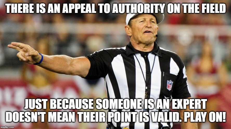 Logical Fallacy Referee | THERE IS AN APPEAL TO AUTHORITY ON THE FIELD; JUST BECAUSE SOMEONE IS AN EXPERT DOESN'T MEAN THEIR POINT IS VALID. PLAY ON! | image tagged in logical fallacy referee | made w/ Imgflip meme maker