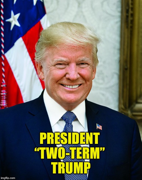 Trump 2020 | PRESIDENT 
“TWO-TERM” 
TRUMP | image tagged in president trump,2020 | made w/ Imgflip meme maker