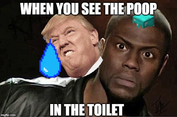 Kevin Hart | WHEN YOU SEE THE POOP; IN THE TOILET | image tagged in memes,kevin hart | made w/ Imgflip meme maker