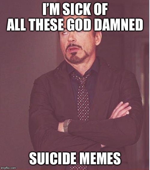 Face You Make Robert Downey Jr Meme | I’M SICK OF ALL THESE GO***AMNED SUICIDE MEMES | image tagged in memes,face you make robert downey jr | made w/ Imgflip meme maker