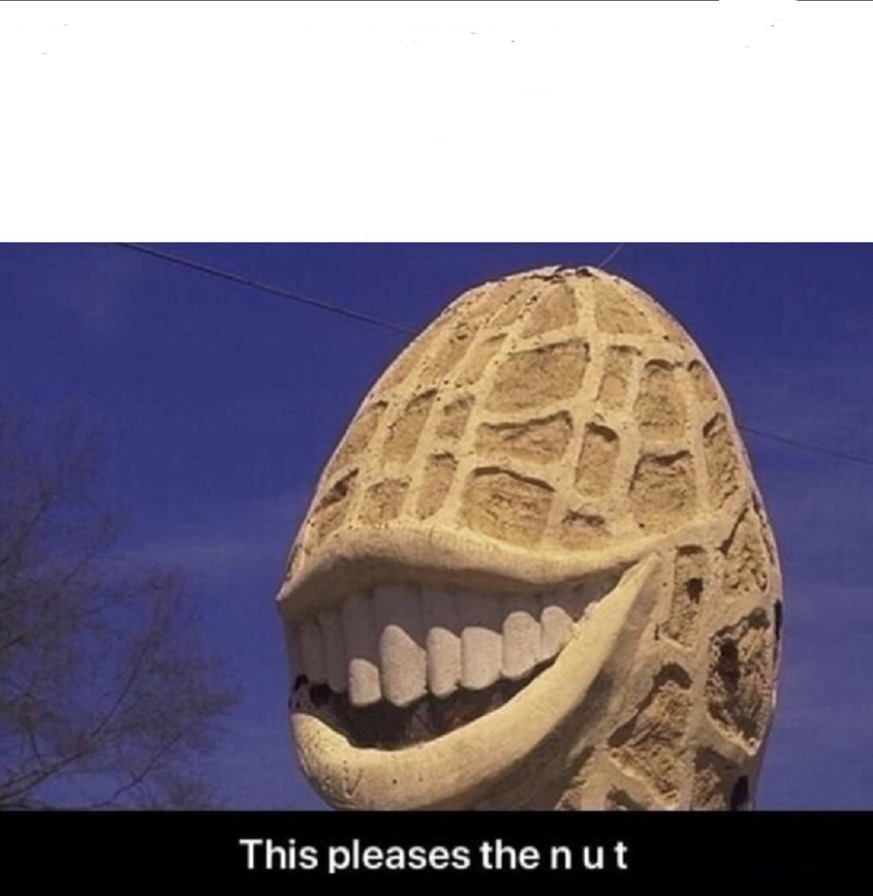 Nut Please Blank Meme Template