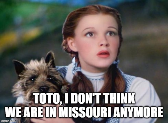 Toto Wizard of Oz | TOTO, I DON'T THINK WE ARE IN MISSOURI ANYMORE | image tagged in toto wizard of oz | made w/ Imgflip meme maker