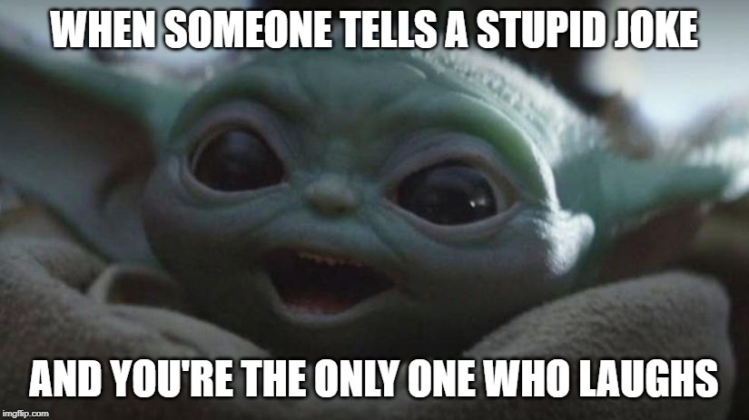 Stupid Joke | WHEN SOMEONE TELLS A STUPID JOKE; AND YOU'RE THE ONLY ONE WHO LAUGHS | image tagged in stupid people,baby yoda | made w/ Imgflip meme maker