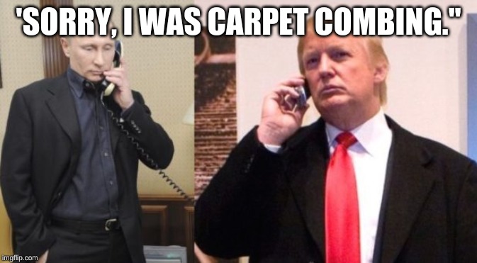 Trump Putin phone call | 'SORRY, I WAS CARPET COMBING." | image tagged in trump putin phone call | made w/ Imgflip meme maker