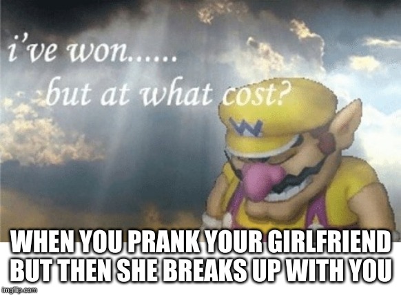Wario sad | WHEN YOU PRANK YOUR GIRLFRIEND BUT THEN SHE BREAKS UP WITH YOU | image tagged in wario sad | made w/ Imgflip meme maker