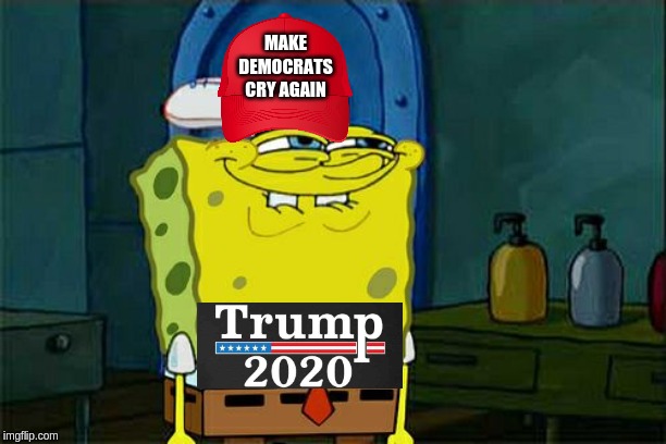 Don't You Squidward | MAKE DEMOCRATS CRY AGAIN | image tagged in memes,dont you squidward | made w/ Imgflip meme maker