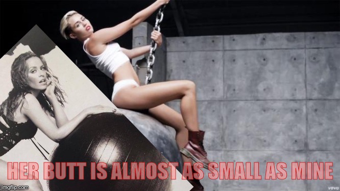 miley cyrus wreckingball | HER BUTT IS ALMOST AS SMALL AS MINE | image tagged in miley cyrus wreckingball | made w/ Imgflip meme maker
