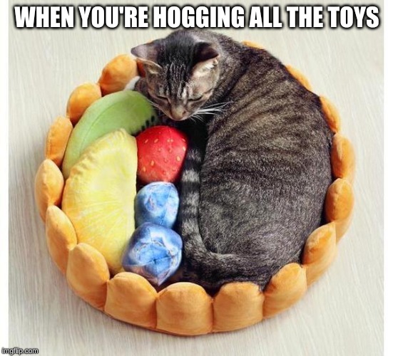 WHEN YOU'RE HOGGING ALL THE TOYS | image tagged in cat,toys | made w/ Imgflip meme maker