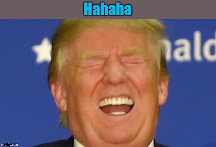 Trump laughing | Hahaha | image tagged in trump laughing | made w/ Imgflip meme maker