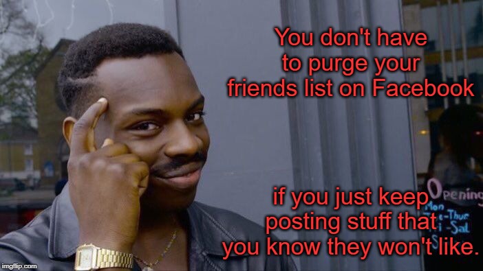 Roll Safe Think About It | You don't have to purge your friends list on Facebook; if you just keep posting stuff that you know they won't like. | image tagged in memes,roll safe think about it | made w/ Imgflip meme maker