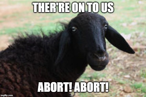 black sheep | THER'RE ON TO US ABORT! ABORT! | image tagged in black sheep | made w/ Imgflip meme maker
