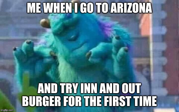 Inn and Out Burger for the First Time | ME WHEN I GO TO ARIZONA; AND TRY INN AND OUT BURGER FOR THE FIRST TIME | image tagged in sully shutdown | made w/ Imgflip meme maker
