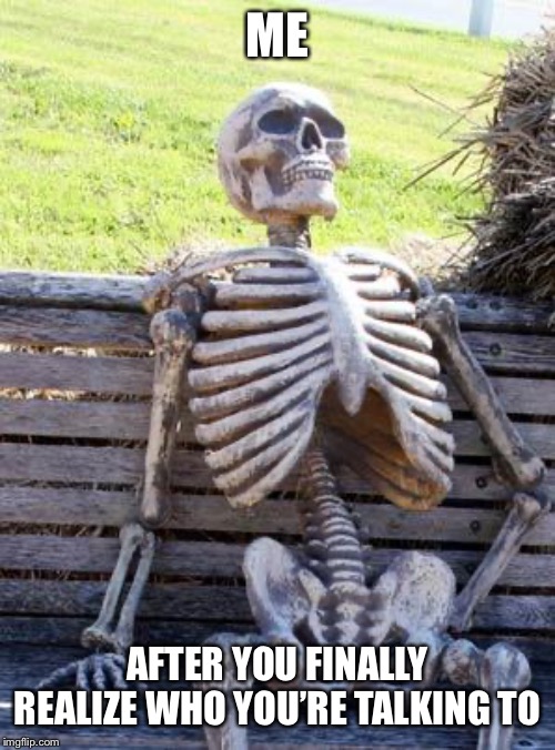 Waiting Skeleton | ME; AFTER YOU FINALLY REALIZE WHO YOU’RE TALKING TO | image tagged in memes,waiting skeleton | made w/ Imgflip meme maker