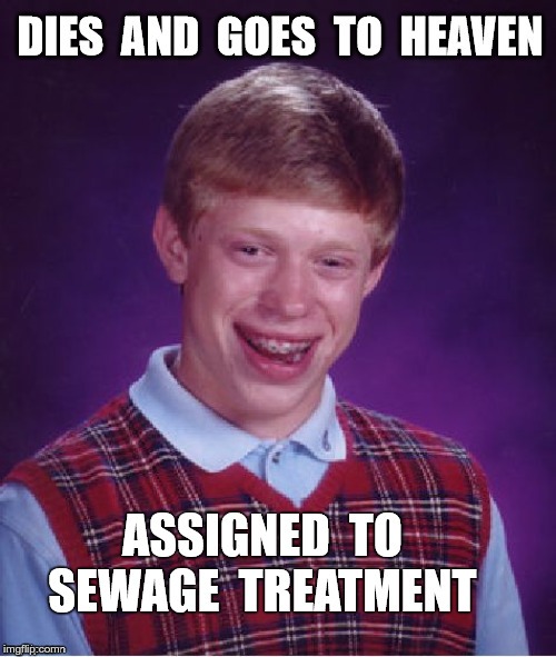 Bad Luck Brian's ETERNAL REWARD! | DIES AND GOES TO HEAVEN  ASSIGNED TO SEWAGE TREATMENT | image tagged in memes,dark humor,bad luck brian,heaven,not what i expected,rick75230 | made w/ Imgflip meme maker