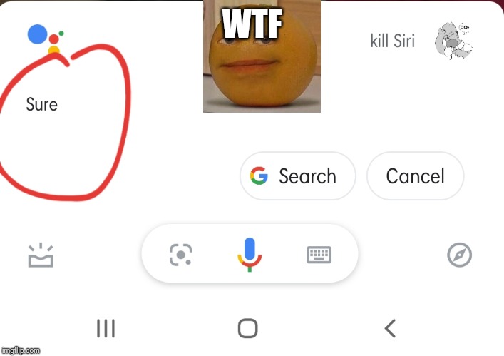 WTF | image tagged in siri,memes,how the frick did this happen,lol,google assilant | made w/ Imgflip meme maker