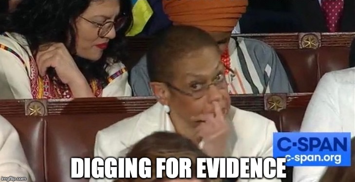 DIGGING FOR EVIDENCE | image tagged in impeachment,congress,democrats | made w/ Imgflip meme maker