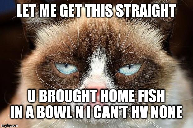 Grumpy Cat Not Amused Meme | LET ME GET THIS STRAIGHT; U BROUGHT HOME FISH IN A BOWL N I CAN'T HV NONE | image tagged in memes,grumpy cat not amused,grumpy cat | made w/ Imgflip meme maker