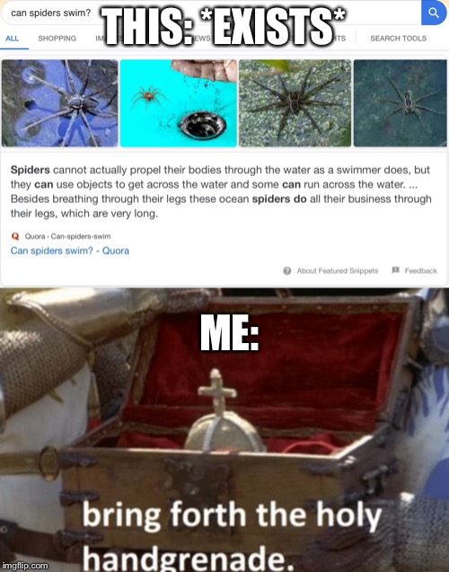  THIS: *EXISTS*; ME: | image tagged in monty python and the holy grail,swimming,spiders | made w/ Imgflip meme maker