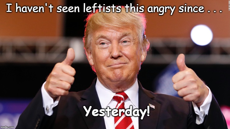 Trump thumbs up | I haven't seen leftists this angry since . . . Yesterday! | image tagged in trump thumbs up | made w/ Imgflip meme maker
