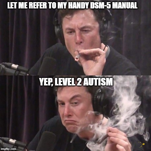 ELON MUSK SMOKING WEED | LET ME REFER TO MY HANDY DSM-5 MANUAL; YEP, LEVEL 2 AUTISM | image tagged in elon musk smoking weed | made w/ Imgflip meme maker