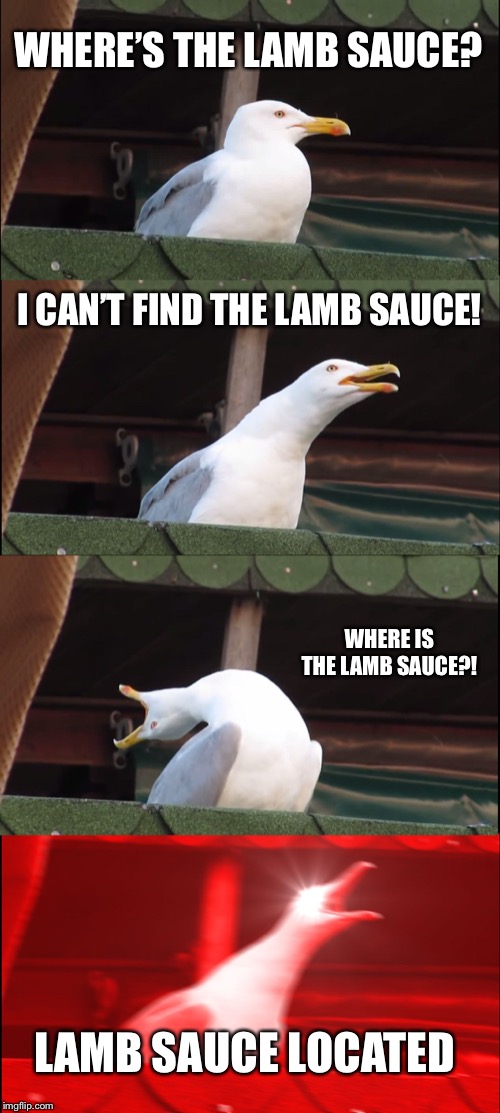 Inhaling Seagull | WHERE’S THE LAMB SAUCE? I CAN’T FIND THE LAMB SAUCE! WHERE IS THE LAMB SAUCE?! LAMB SAUCE LOCATED | image tagged in memes,inhaling seagull | made w/ Imgflip meme maker