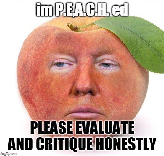 I said honesty Karl! | im P.E,A.C.H. ed; PLEASE EVALUATE AND CRITIQUE HONESTLY | image tagged in trump a peach | made w/ Imgflip meme maker