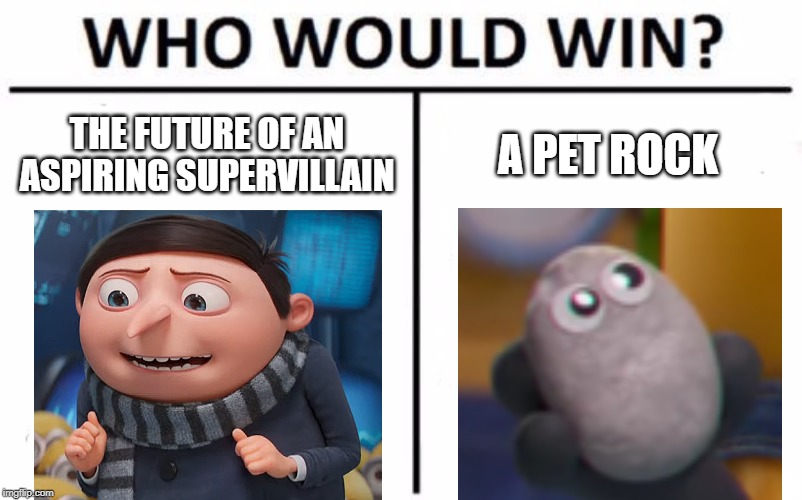 Who Would Win? | THE FUTURE OF AN ASPIRING SUPERVILLAIN; A PET ROCK | image tagged in memes,who would win | made w/ Imgflip meme maker