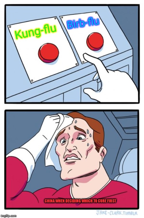 Two Buttons Meme | Birb-flu; Kung-flu; CHINA WHEN DECIDING WHICH TO CURE FIRST | image tagged in memes,two buttons | made w/ Imgflip meme maker