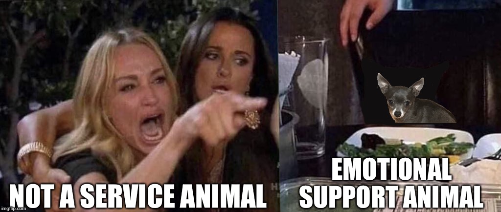 woman yelling at cat | EMOTIONAL SUPPORT ANIMAL; NOT A SERVICE ANIMAL | image tagged in woman yelling at cat | made w/ Imgflip meme maker