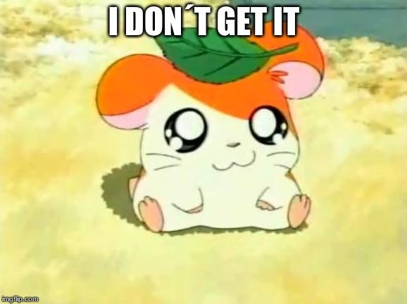 Hamtaro | I DON´T GET IT | image tagged in memes,hamtaro | made w/ Imgflip meme maker