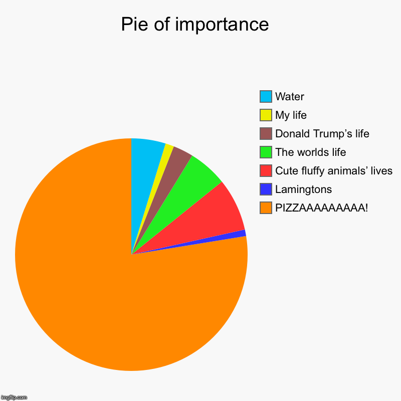 Pie of importance  | PIZZAAAAAAAAA!, Lamingtons, Cute fluffy animals’ lives, The worlds life, Donald Trump’s life, My life, Water | image tagged in charts,pie charts | made w/ Imgflip chart maker