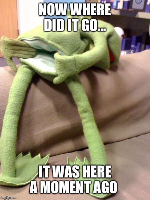 kermit ass | NOW WHERE DID IT GO... IT WAS HERE A MOMENT AGO | image tagged in kermit ass | made w/ Imgflip meme maker
