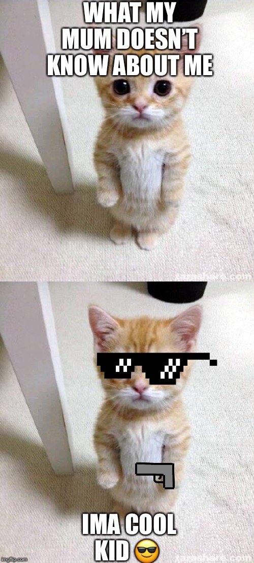 WHAT MY MUM DOESN’T KNOW ABOUT ME; IMA COOL KID 😎 | image tagged in memes,cute cat | made w/ Imgflip meme maker
