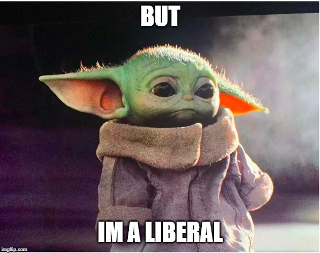 Sad Baby Yoda | BUT IM A LIBERAL | image tagged in sad baby yoda | made w/ Imgflip meme maker