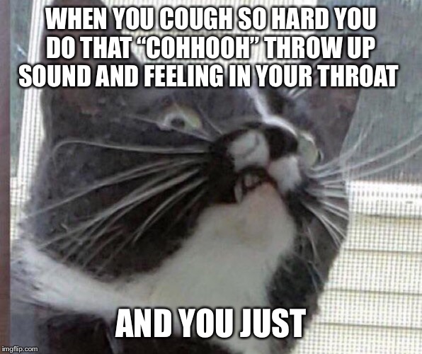 I hope you know what I’m talking about :) | WHEN YOU COUGH SO HARD YOU DO THAT “COHHOOH” THROW UP SOUND AND FEELING IN YOUR THROAT; AND YOU JUST | image tagged in gross,cat,disgusted | made w/ Imgflip meme maker