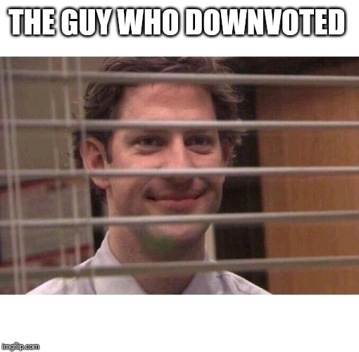 THE GUY WHO DOWNVOTED | image tagged in jim office blinds | made w/ Imgflip meme maker