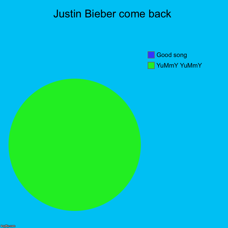 Justin Bieber come back | YuMmY YuMmY, Good song | image tagged in charts,pie charts | made w/ Imgflip chart maker
