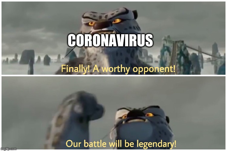 Our Battle Will Be Legendary | CORONAVIRUS | image tagged in our battle will be legendary | made w/ Imgflip meme maker