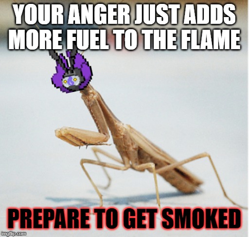 YOUR ANGER JUST ADDS MORE FUEL TO THE FLAME PREPARE TO GET SMOKED | made w/ Imgflip meme maker