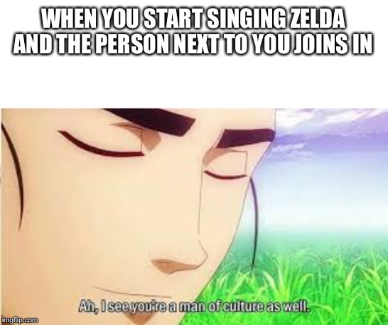 Ah,I see you are a man of culture as well | WHEN YOU START SINGING ZELDA AND THE PERSON NEXT TO YOU JOINS IN | image tagged in ah i see you are a man of culture as well | made w/ Imgflip meme maker
