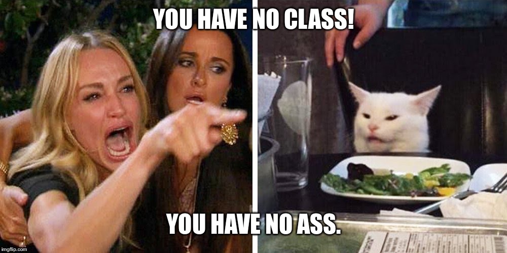 Smudge the cat | YOU HAVE NO CLASS! YOU HAVE NO ASS. | image tagged in smudge the cat | made w/ Imgflip meme maker