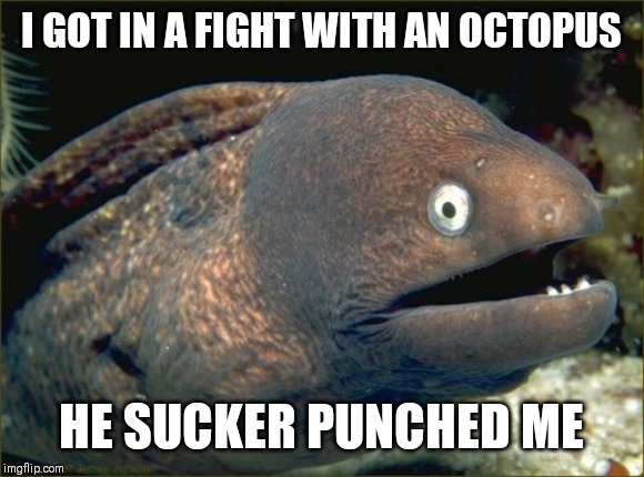 Bad Joke Eel Meme | I GOT IN A FIGHT WITH AN OCTOPUS; HE SUCKER PUNCHED ME | image tagged in memes,bad joke eel | made w/ Imgflip meme maker