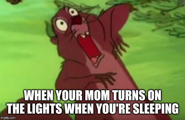 AHHHHHH!!! | WHEN YOUR MOM TURNS ON THE LIGHTS WHEN YOU'RE SLEEPING | image tagged in ahhhhhh | made w/ Imgflip meme maker