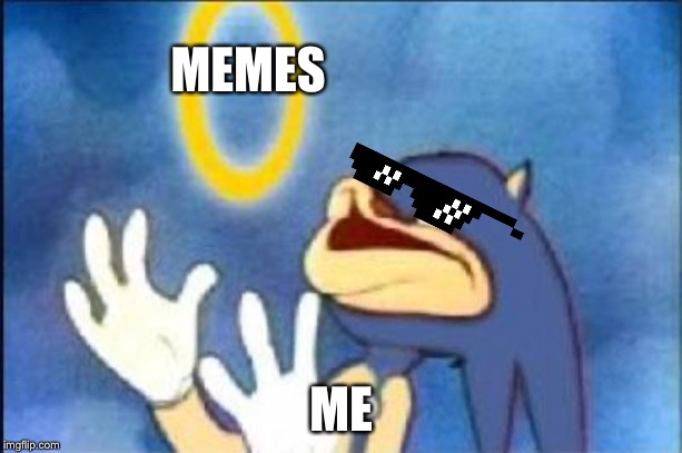 Sonic derp | MEMES; ME | image tagged in sonic derp | made w/ Imgflip meme maker