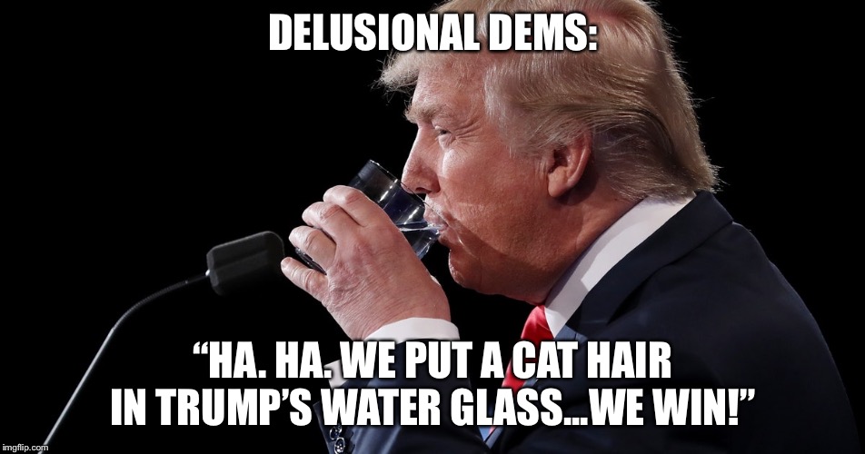 Delusional Dems | DELUSIONAL DEMS: “HA. HA. WE PUT A CAT HAIR IN TRUMP’S WATER GLASS...WE WIN!” | image tagged in trump winning | made w/ Imgflip meme maker