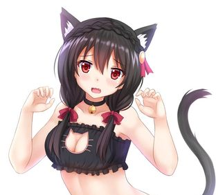 Yunyun Neko Blank Meme Template