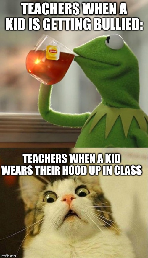 TEACHERS WHEN A KID IS GETTING BULLIED:; TEACHERS WHEN A KID WEARS THEIR HOOD UP IN CLASS | image tagged in memes,scared cat,but thats none of my business | made w/ Imgflip meme maker