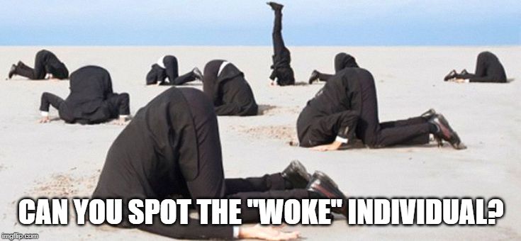 woke | CAN YOU SPOT THE "WOKE" INDIVIDUAL? | image tagged in woke,mind control,social justice,social media | made w/ Imgflip meme maker