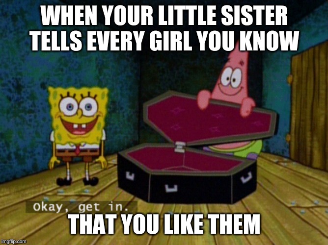 Ok Get In! | WHEN YOUR LITTLE SISTER TELLS EVERY GIRL YOU KNOW; THAT YOU LIKE THEM | image tagged in ok get in | made w/ Imgflip meme maker