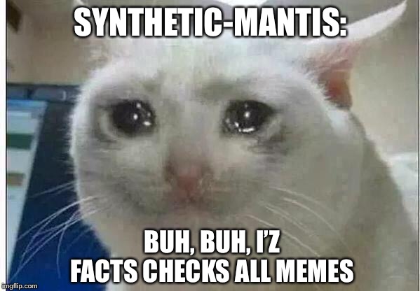 crying cat | SYNTHETIC-MANTIS: BUH, BUH, I’Z FACTS CHECKS ALL MEMES | image tagged in crying cat | made w/ Imgflip meme maker
